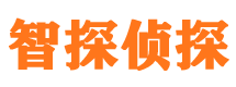 嘉黎市婚外情调查